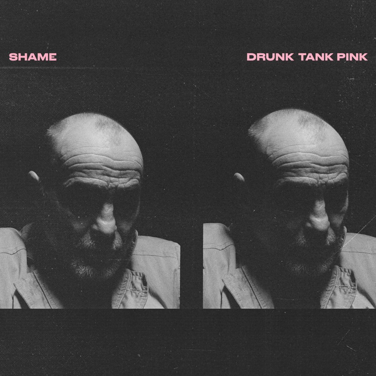 Shame Drunk Tank Pink album art