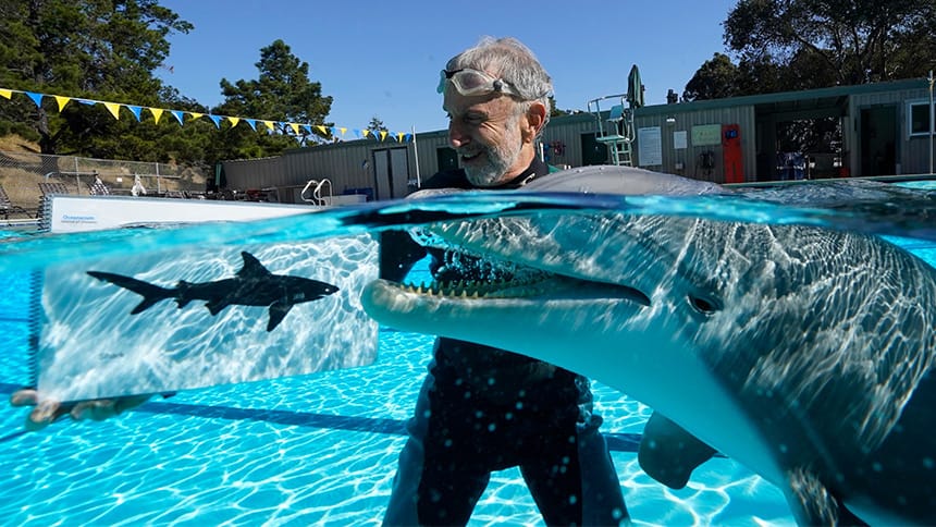 Roger Holzberg, a former creative director at the Walt Disney Co., hangs out in a pool with the robotic dolphin prototype.