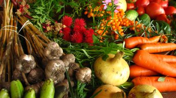 Re-opening of Organic Farming Scheme must not be ‘flawed’ – IFA