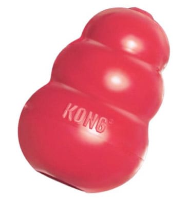 KONG stuffable dog toy