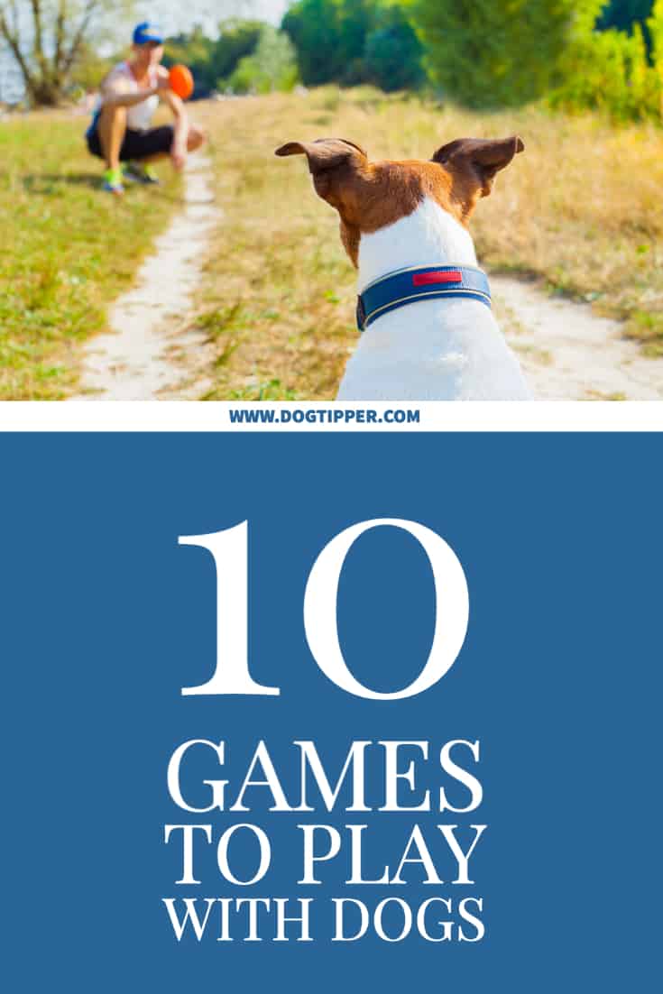 Games to play with dogs indoors and outside