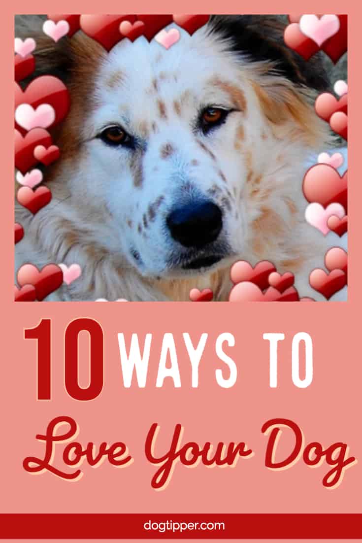 10 ways to show your dog you love him on Valentine's Day and National Love Your Pet Day
