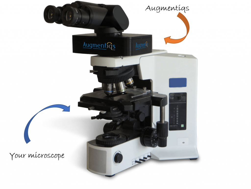 augmentiqs traditional