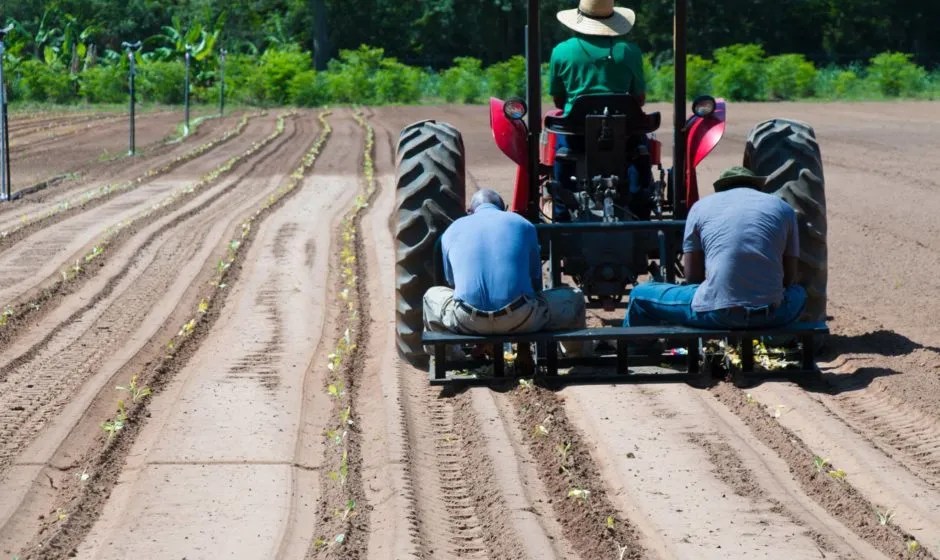 Florida A&M University begins two-day farming series on Sunday