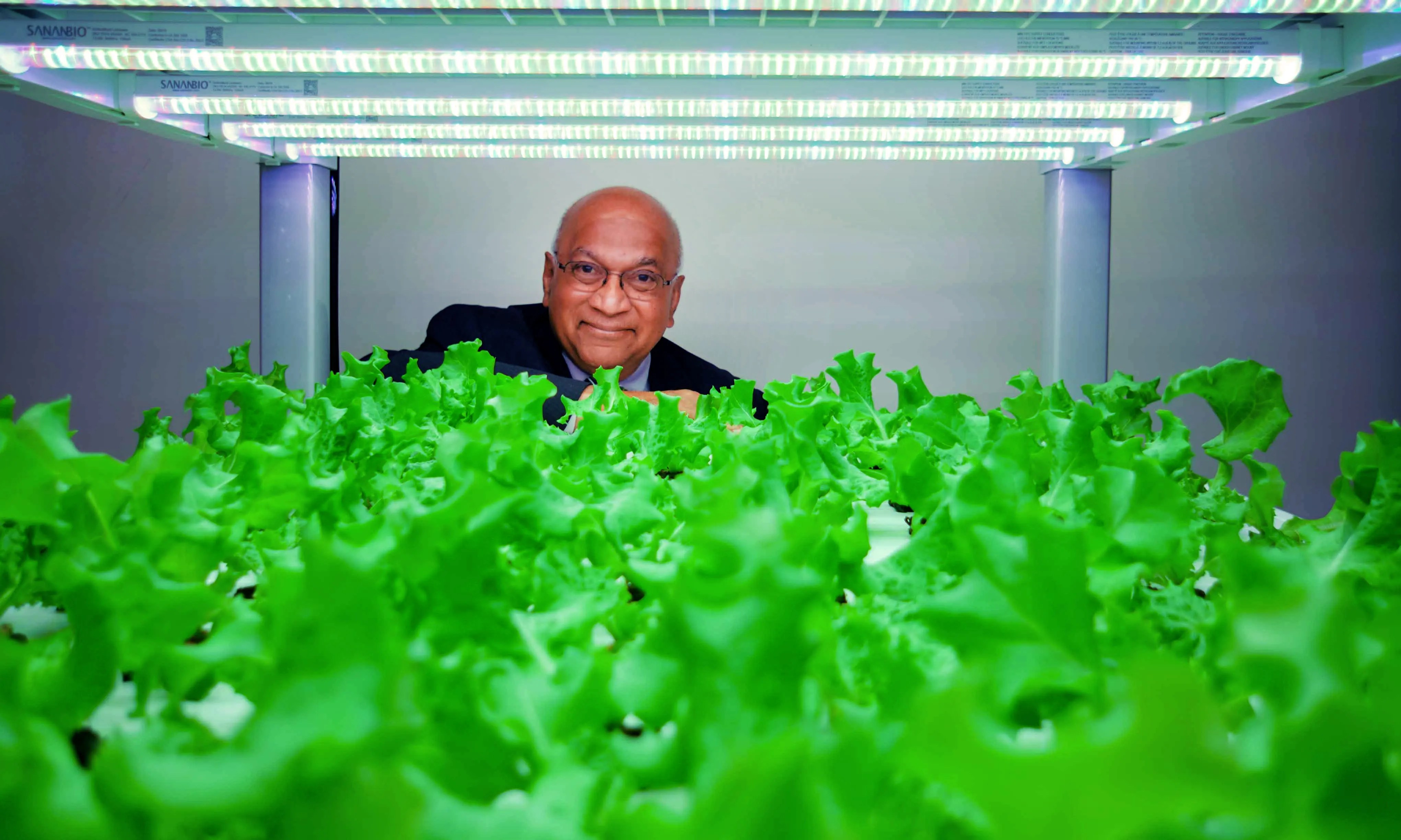 Ajit George of Second Chances Farm looks out over fresh lettuce growing in a vertical garden prototype. He wants to build a vertical indoor farm in Wilmington's Riverside neighborhood to grow fresh food for the neighborhood and employ ex-offenders.