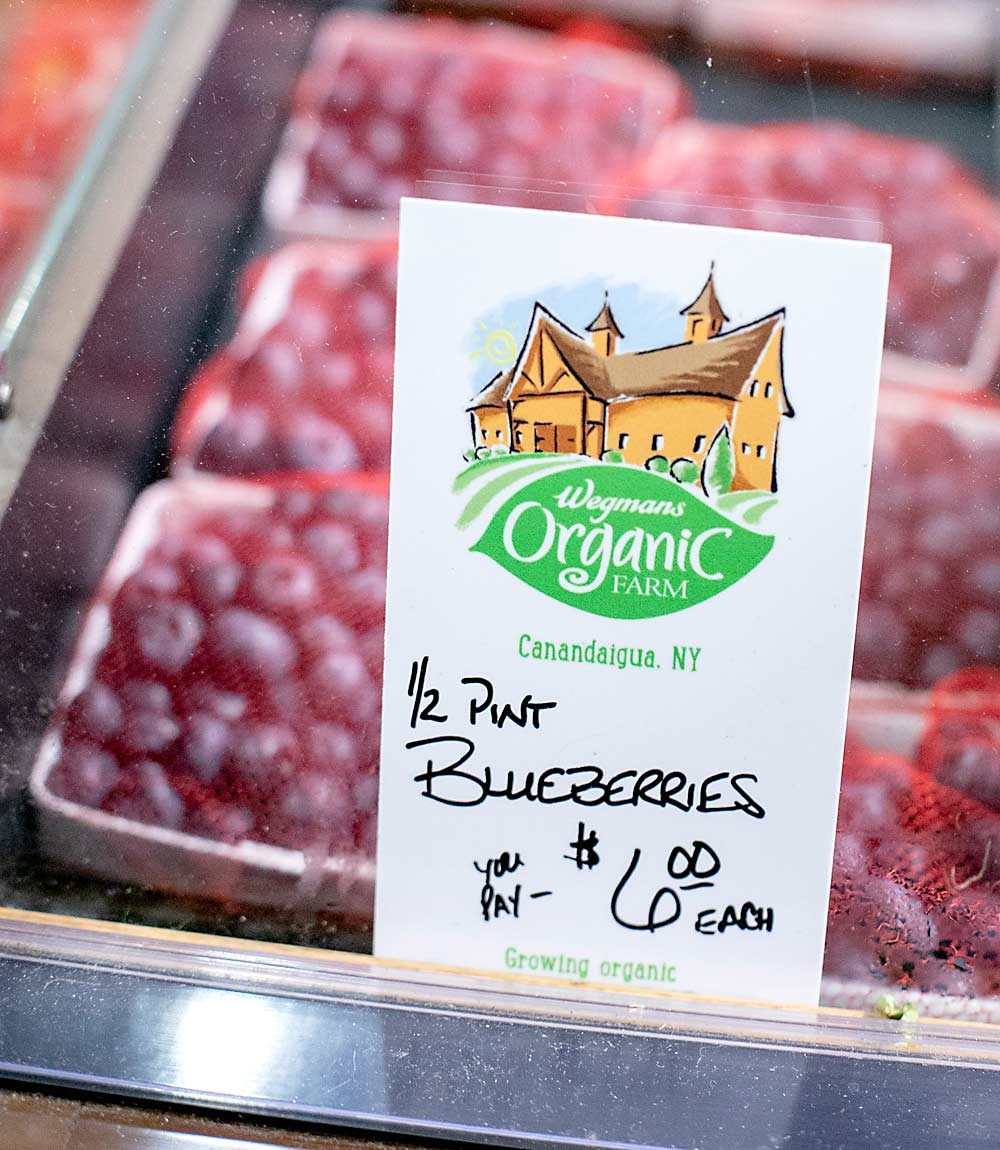 Blueberries grown at Wegmans’ organic farm in the Finger Lakes region of New York are featured for sale at the grocer’s store in Canandaigua. While the farm aims to develop and test organic growing practices to share with suppliers, it also harvests produce for local stores. (TJ Mullinax/Good Fruit Grower)