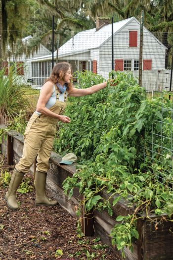 Sarah Ross harvesting crops. Photo by Bill Durrance.