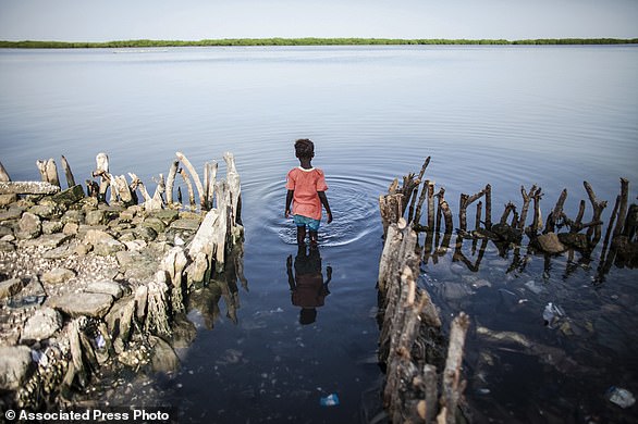 FILE - In this Oct. 18, 2015 file photo, a young girl wades in the water outside of Fatou Faye's home in Diamniadio Island, Saloum Delta in Senegal. The place where Faye's kitchen once stood is now outlined with short branches of mangroves that she hopes will slow the nearby sea from destroying the rest of her house. The rising sea levels pushing into the waters of Senegal's Saloum Delta already threaten to carve the rest of her gray cement home from its foundation, leaving her and 30 other relatives homeless on the low-lying island. (AP Photo/Jane Hahn, File)