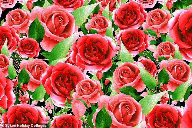 The graphic, created by UK-based holiday rental service Sykes Holiday Cottages, challenges puzzlers to find five hidden hearts in a bunch of roses