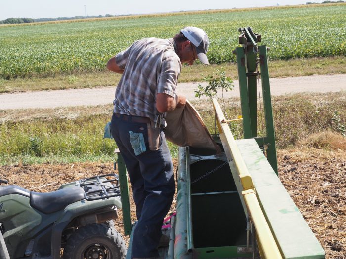 Filling a seeder with Kernza seed.