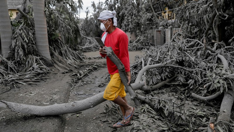 A worker carries a fallen branch in a resort blanketed with volcanic ash in Talisay, Batangas.