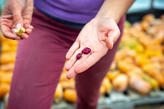 Livy Bulger showing off jewel-like cranberry beans - JORDAN BARRY ©️ SEVEN DAYS