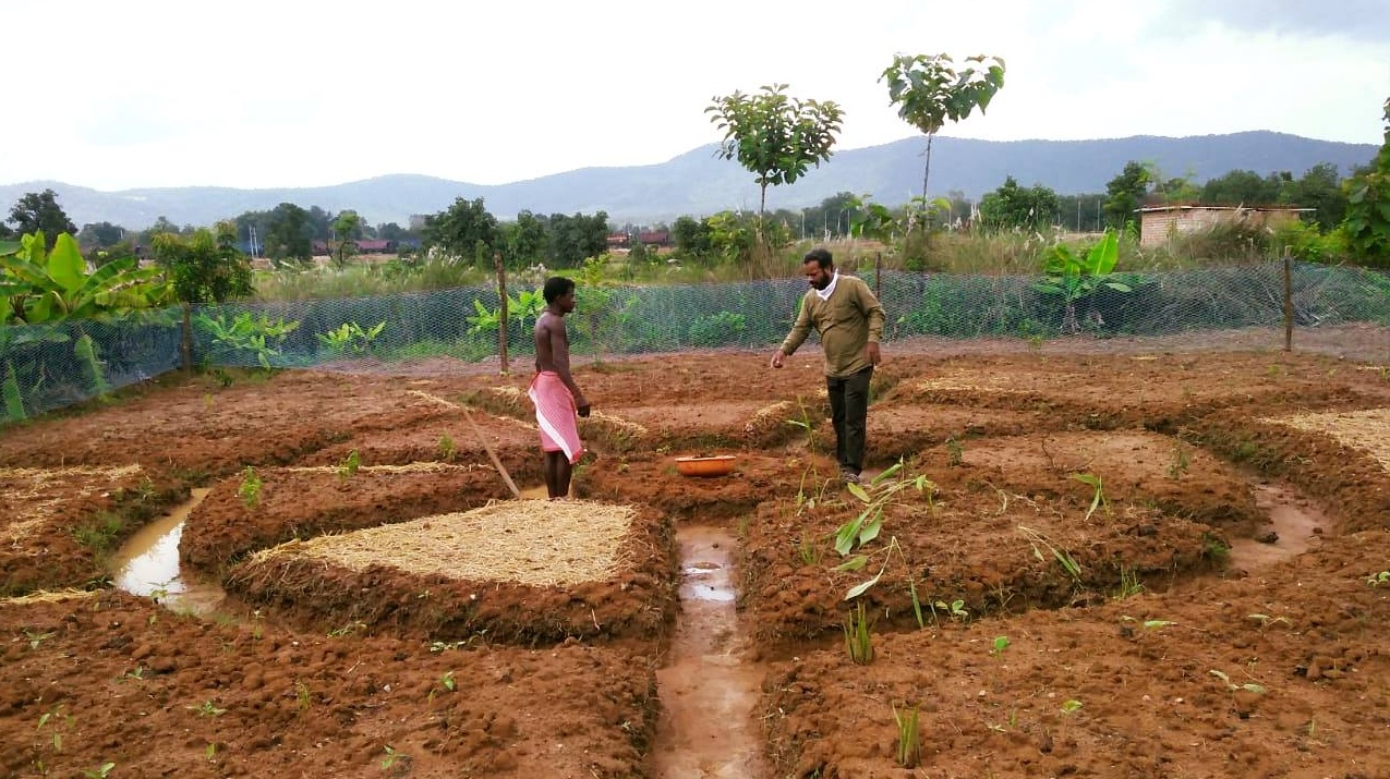 MCL promoting organic farming through aahaar mandal 