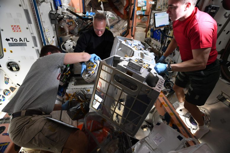 Astronauts RiTS Installation