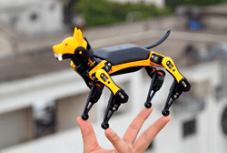 Petoi Bittle, the World's First Palm-sized, Trick Playing Open-source Robot Dog